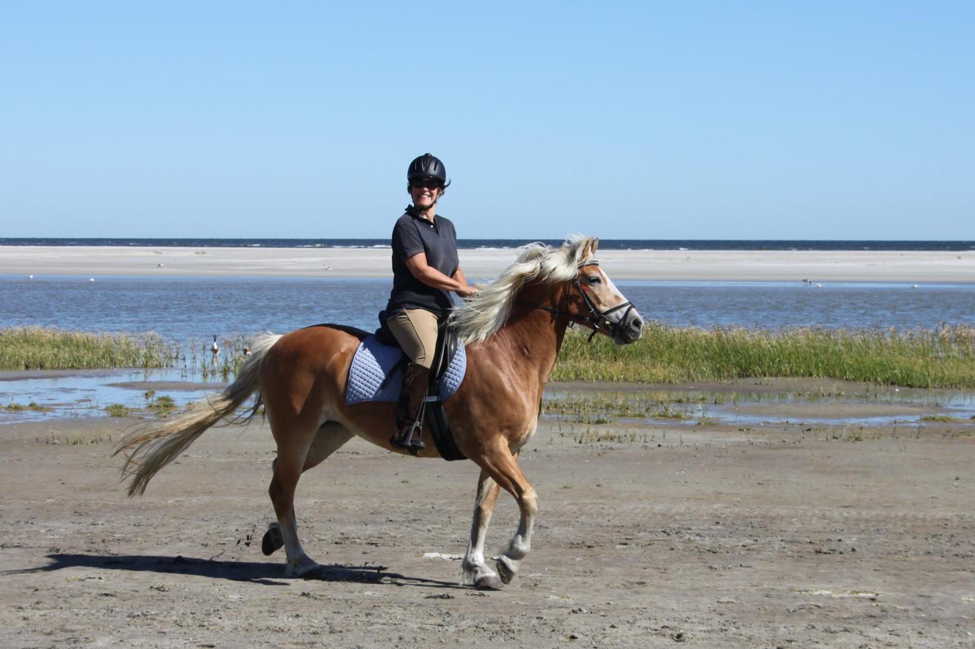 בורן Naar Zee Op Ameland מראה חיצוני תמונה